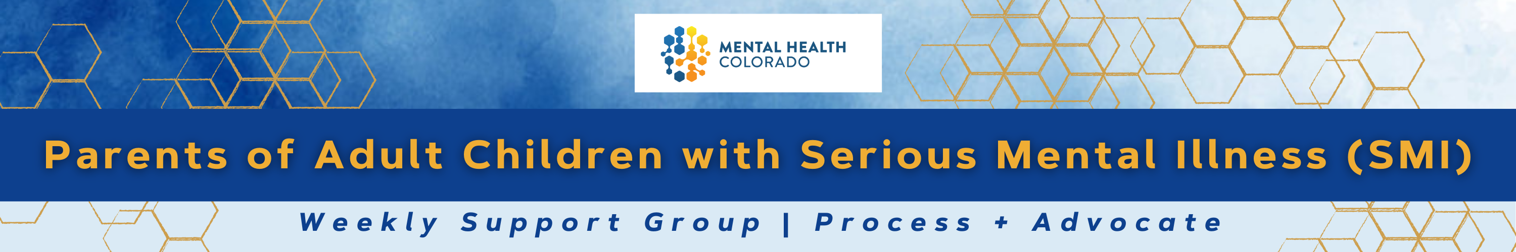 Parents Of Adult Children With Serious Mental Illness SMI Mental   National Virtual Conference Series 6 